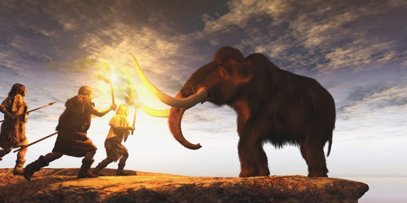 Proyecto Prehistoria